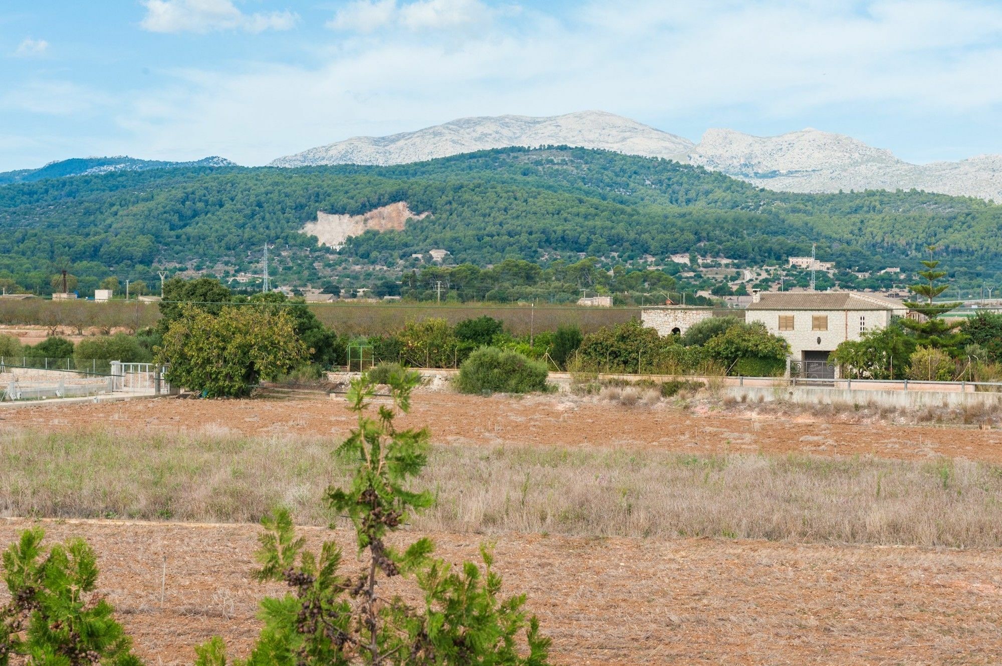 Villa Son Valenti Sa Pobla Exterior foto